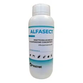 ALFASECT