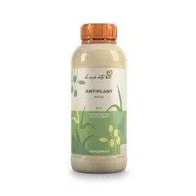 Antiplant Aceto
