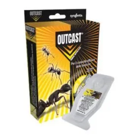 Outcast Formiche