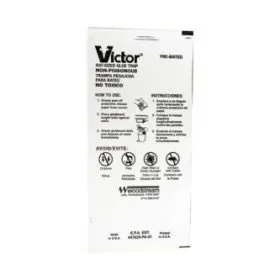 Rat Glue Trap M319