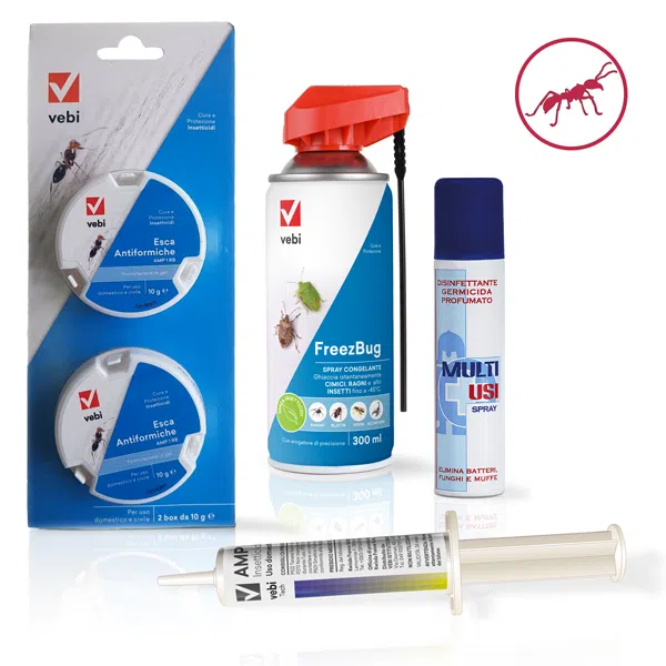 Disinfestazione Formiche Kit di Insectum.it per interni