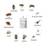 target-insetti-duracid-fumogeno Duracid fumigante insetti target