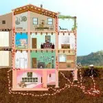 Termiti di terra in casa