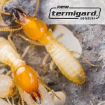 Sistema ad esca termigard contro le termiti sotterranee (Reticulitermes)