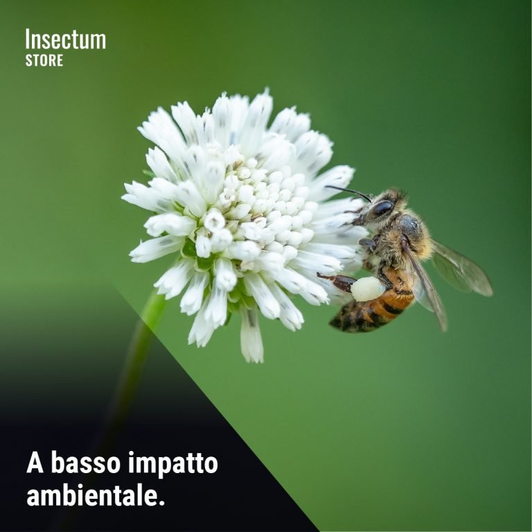 A basso impatto ambientale