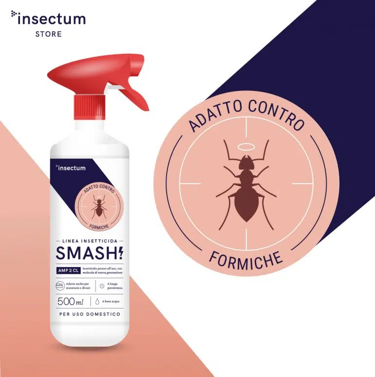 Spray insetticida per tessuti e superfici contro le formiche
