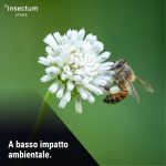 A basso impatto ambientale