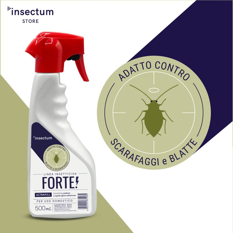 Insetticida Forte! contro le blatte Insectum Store