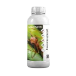 Formirex granuli insetticida per formiche