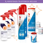 Insieme di prodotti insetticidi per la disinfestazione fai da te delle cimici del letto