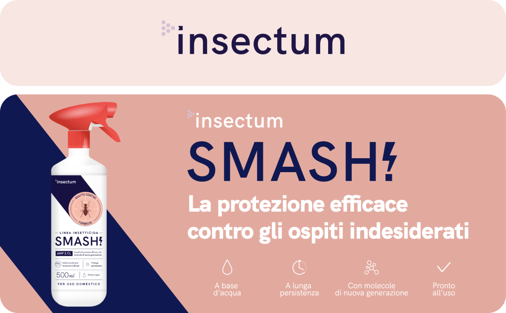 Spray smash insetticida contro le formiche senza permetrina