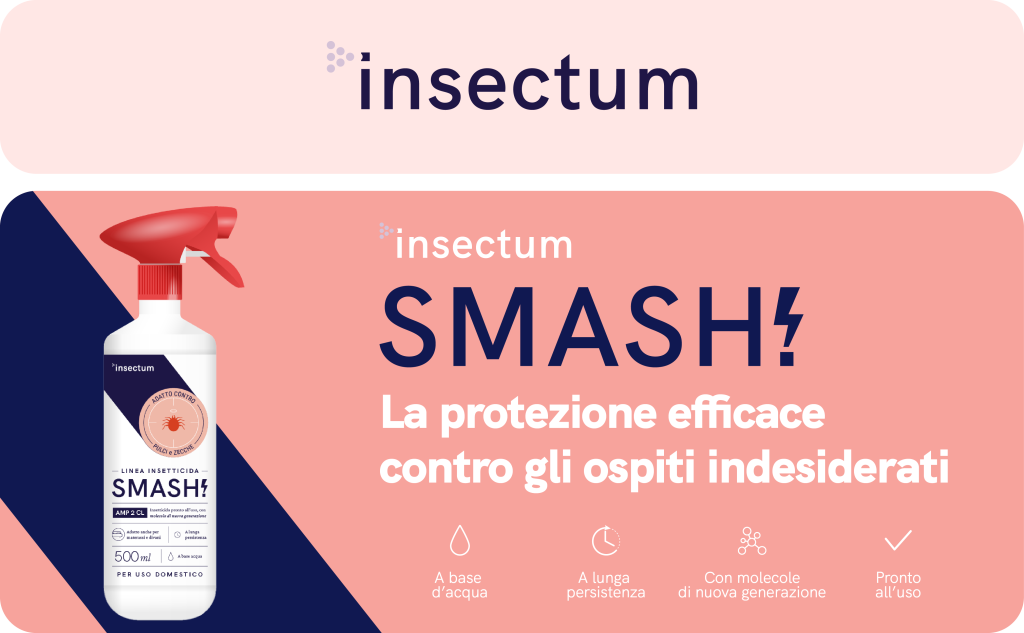 smash insetticida contro pulci e zecche