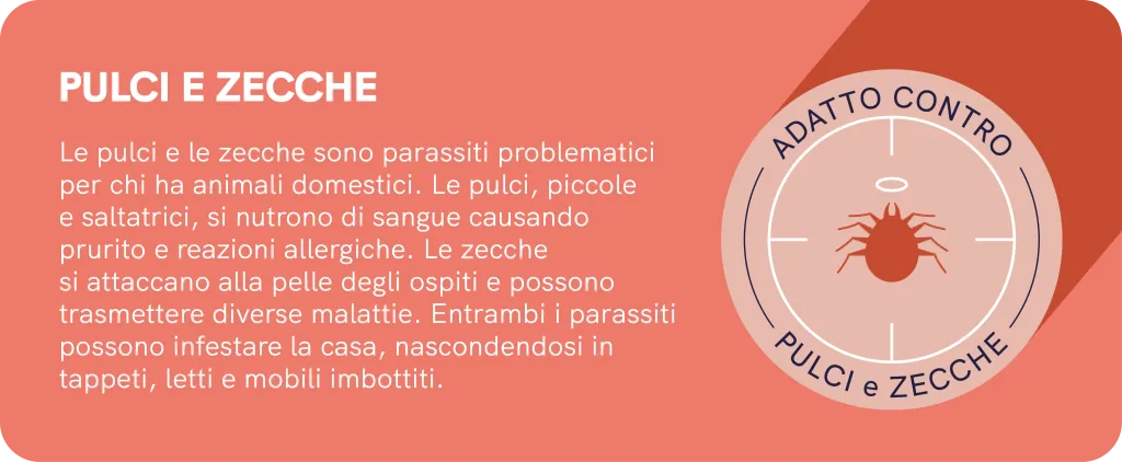 smash insetticida contro pulci e zecche