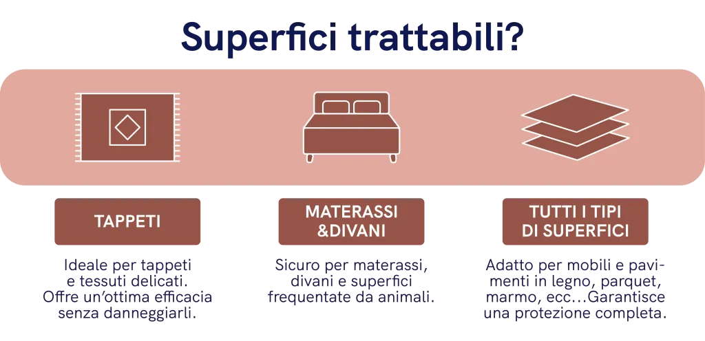 Spray smash insetticida contro le formiche senza permetrina