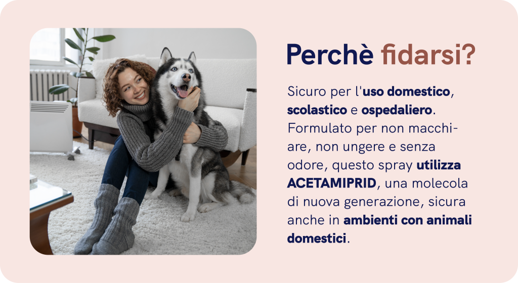 Spray smash insetticida contro le formiche senza permetrina