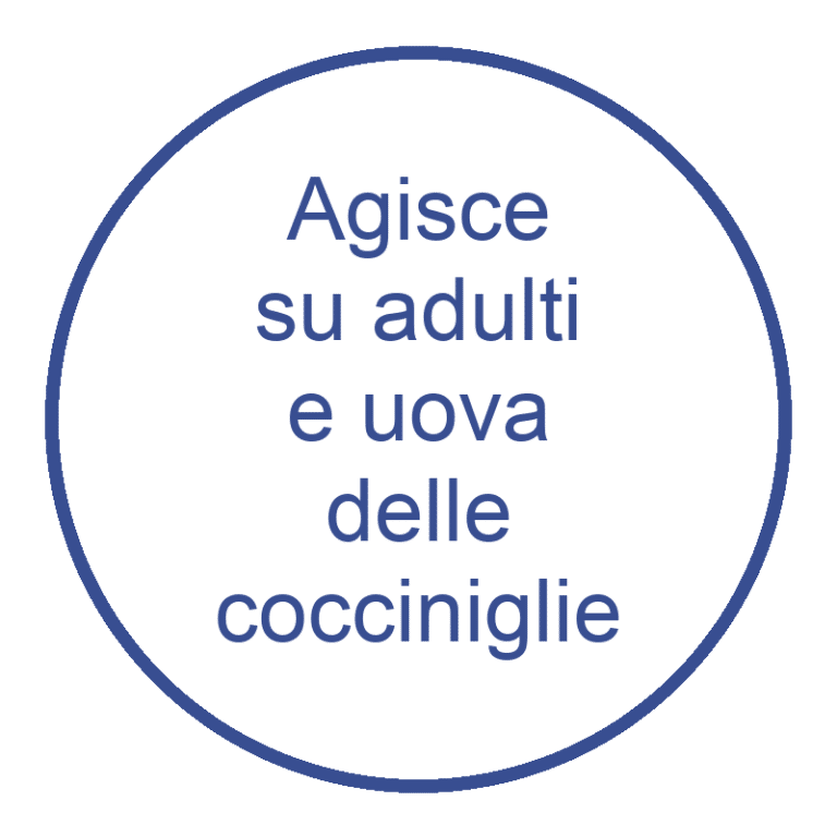Agisce su adulti e uova delle cocciniglie
